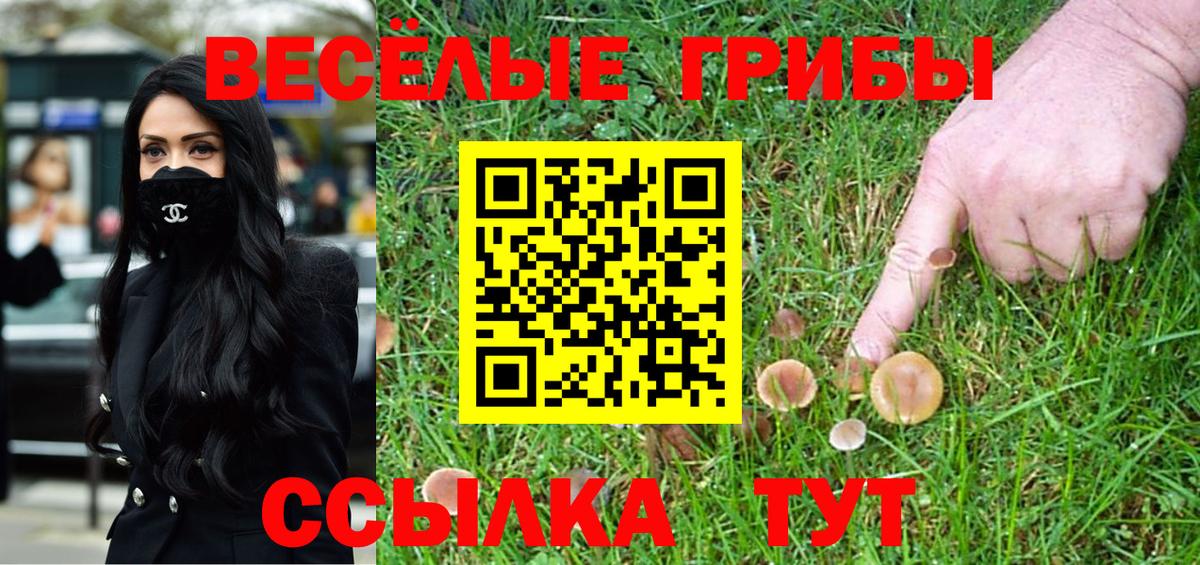 Псилоцибиновые грибы GOLDEN TEACHER Новозыбков