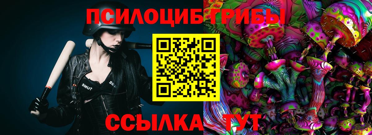 Псилоцибиновые грибы Psilocybe  Галлюциногенные грибы Psilocybe  Вход с VPN  что такое   Новозыбков 